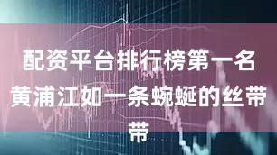 配资平台排行榜第一名黄浦江如一条蜿蜒的丝带