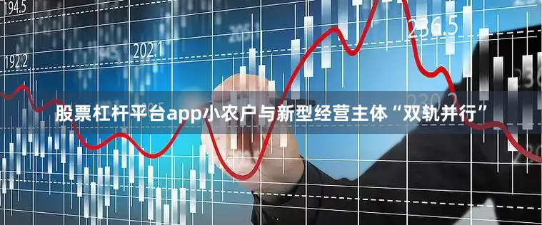 股票杠杆平台app小农户与新型经营主体“双轨并行”