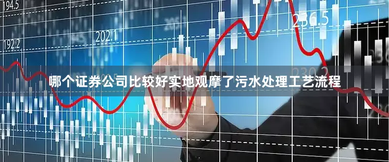 哪个证券公司比较好实地观摩了污水处理工艺流程