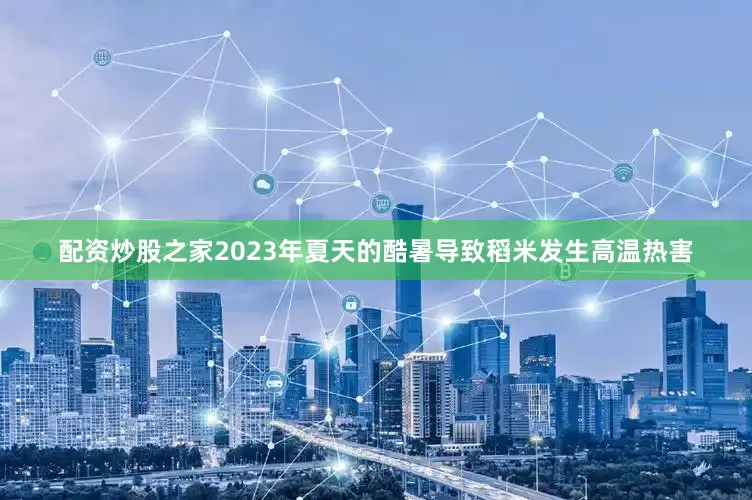 配资炒股之家2023年夏天的酷暑导致稻米发生高温热害