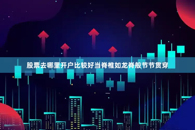 股票去哪里开户比较好当脊椎如龙脊般节节贯穿