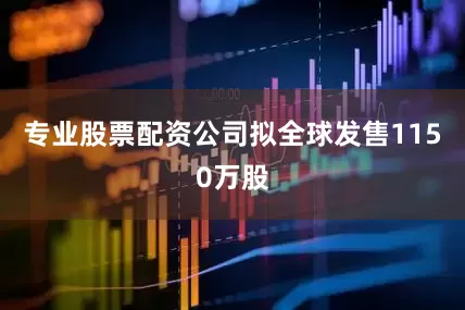 专业股票配资公司拟全球发售1150万股