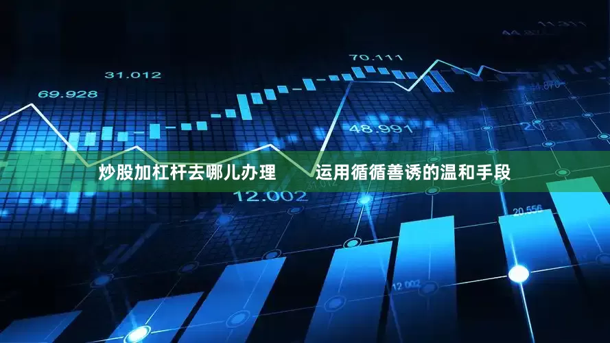 炒股加杠杆去哪儿办理        运用循循善诱的温和手段